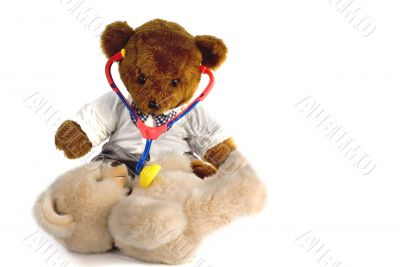 Doctor bear