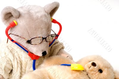 Doctor bear