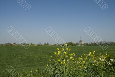Landscape with windmill