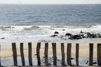Beach with wooden poles