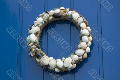shells