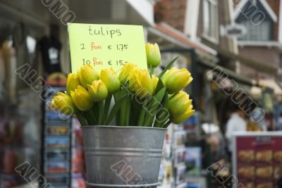 Bucket with wooden tulips