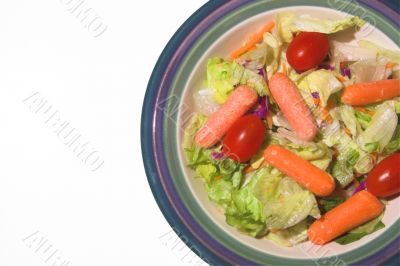 Garden Salad