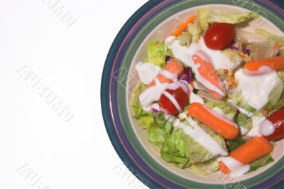 Garden Salad
