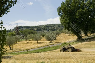 Italian farmer