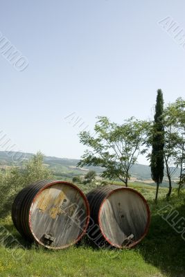 wine barrels