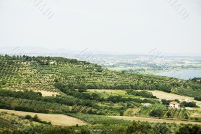 Italian landscape