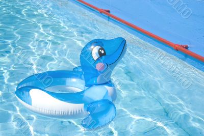 Floating delphin