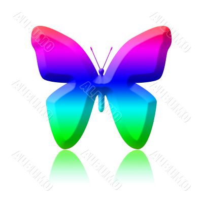 colored butterfly