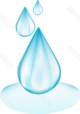 Water drops - vector