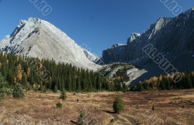 Autumn, hiker in meadow