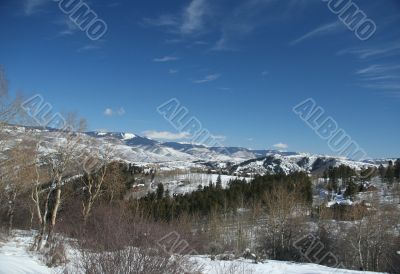 Rolling hills, conifers