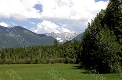 Spring in Montana