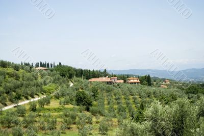 Traditional landscape