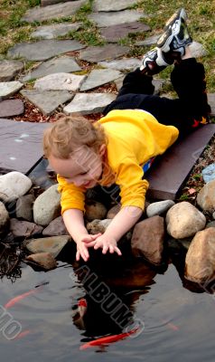 Petting Fish