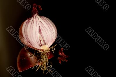 sliced onion