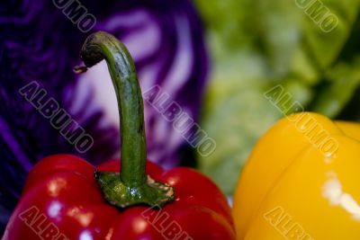 vegetables