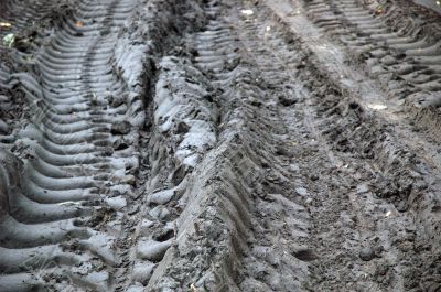 Track