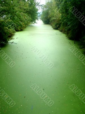 Green Stream