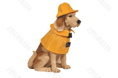Dog statue in raincoat