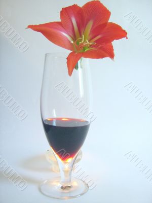 Red Wine