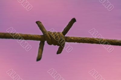 Barb wire