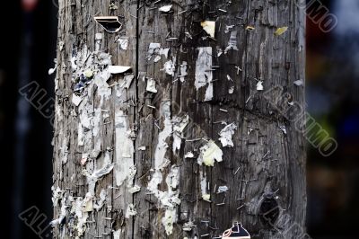 Hydro pole