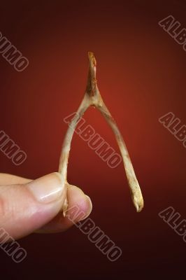 wishbone