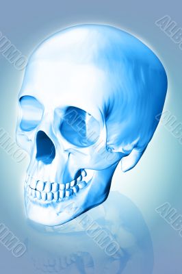 scull 3d