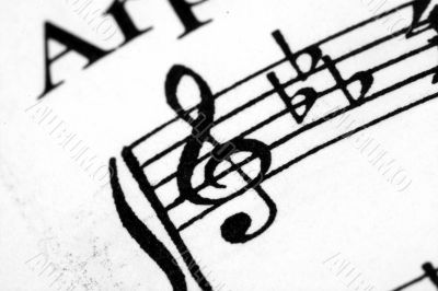 Music Notes