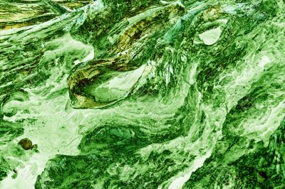 Dry wood texture abstract