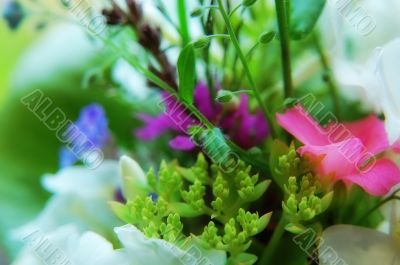 bunch of flowers