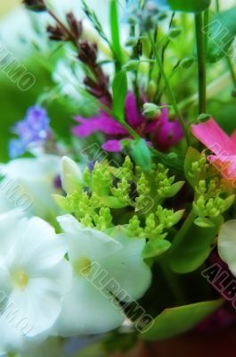 bunch of flowers
