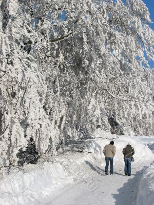 Winter in Austria