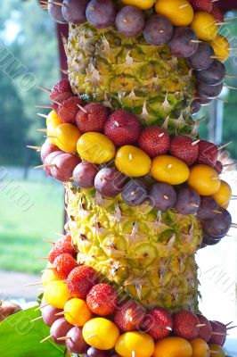 Tree decorated by fruit