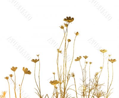 floral style textures