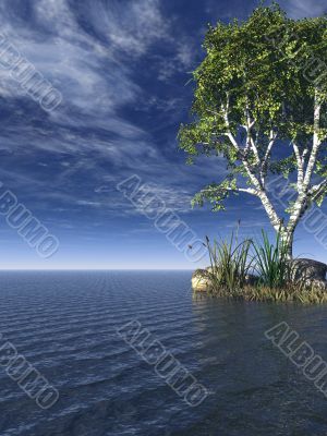 tree