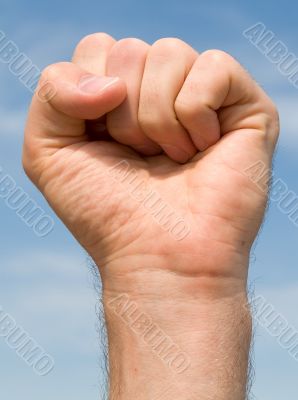 fist