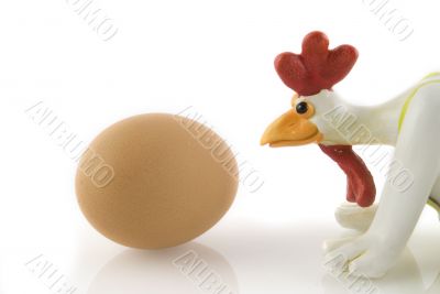funny chicken