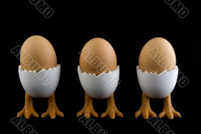 three birds with eggs
