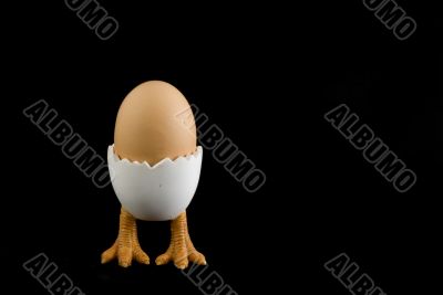Birdfeet with egg