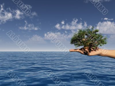 tree
