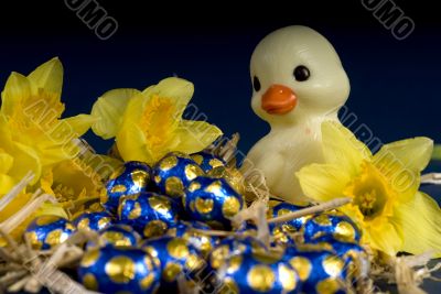 chocolate easter eggs