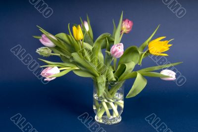 vase with tulips