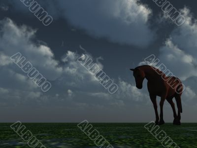 horse