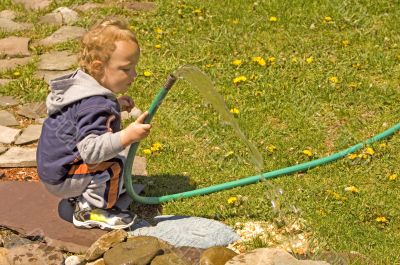 Watering Flowers
