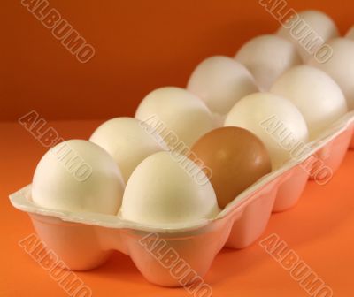 organic and regular eggs
