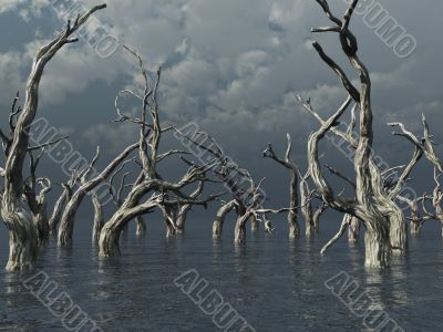 dead trees