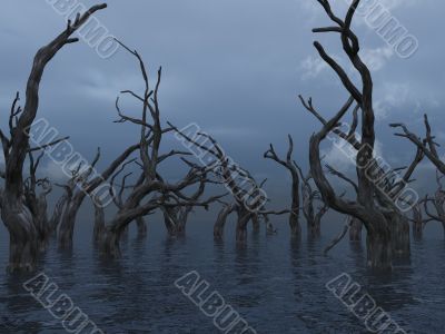 dead trees
