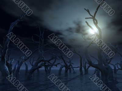 dead trees